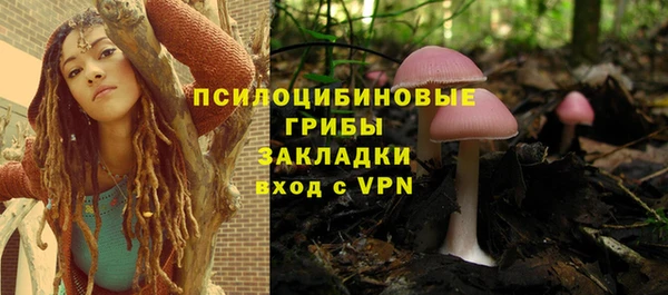 ПСИЛОЦИБИНОВЫЕ ГРИБЫ Алексеевка