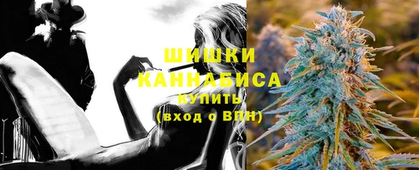 сатива Сосновоборск