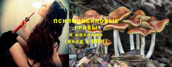 герыч Алексин