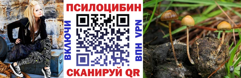 магазин    Бавлы  Галлюциногенные грибы GOLDEN TEACHER 